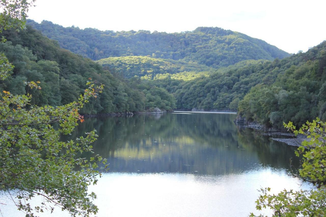 Maison Le Barrage Saint-Gervais-dʼAuvergne Екстериор снимка